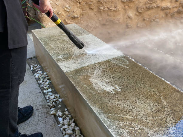 Deck Cleaning Services in Land O Lakes, FL