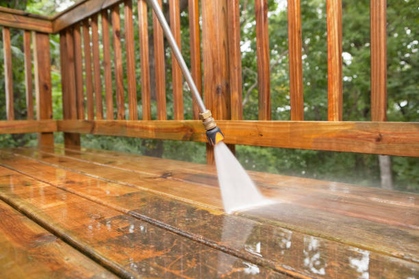 Best Fence Pressure Washing  in Land O Lakes, FL