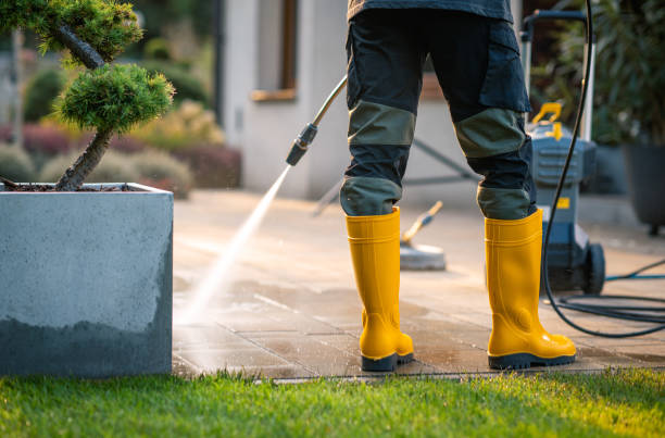 Best Power Washing Near Me  in Land O Lakes, FL